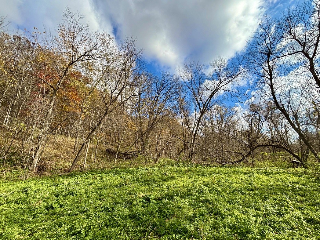 Land at 0 265th Avenue, Plum City, WI 54761 — photo 42