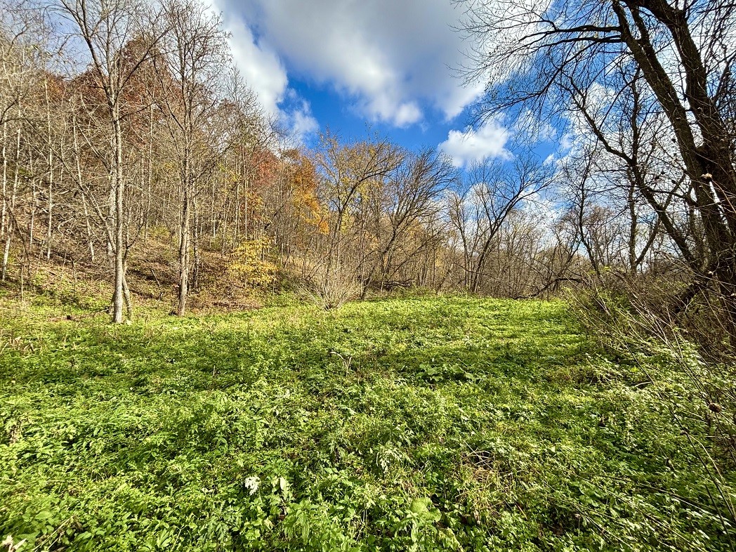 Land at 0 265th Avenue, Plum City, WI 54761 — photo 43