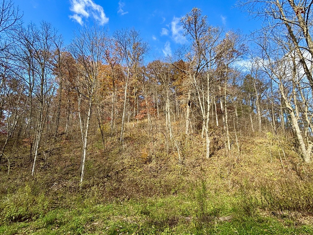 Land at 0 265th Avenue, Plum City, WI 54761 — photo 49