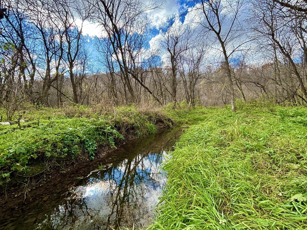 Land at 0 265th Avenue, Plum City, WI 54761 — photo 5