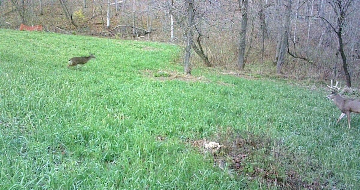 Land at 0 265th Avenue, Plum City, WI 54761 — photo 50