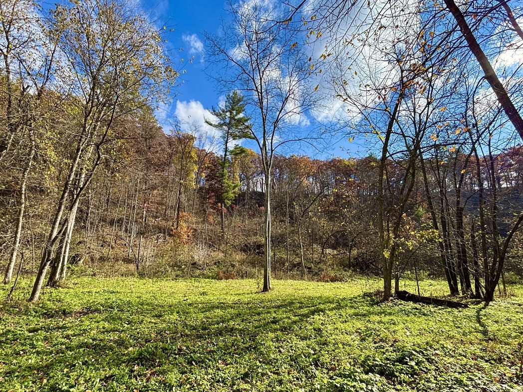 Land at 0 265th Avenue, Plum City, WI 54761 — photo 51