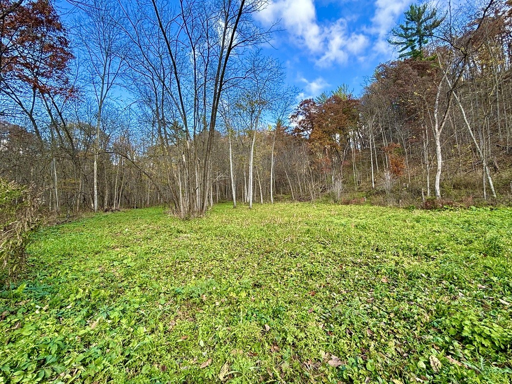 Land at 0 265th Avenue, Plum City, WI 54761 — photo 54