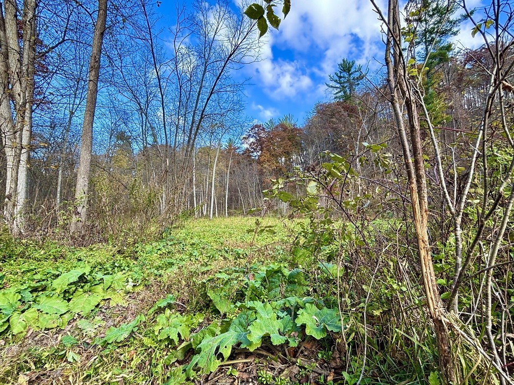 Land at 0 265th Avenue, Plum City, WI 54761 — photo 55