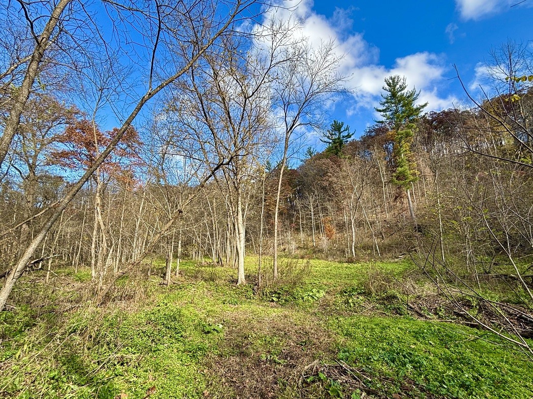 Land at 0 265th Avenue, Plum City, WI 54761 — photo 56