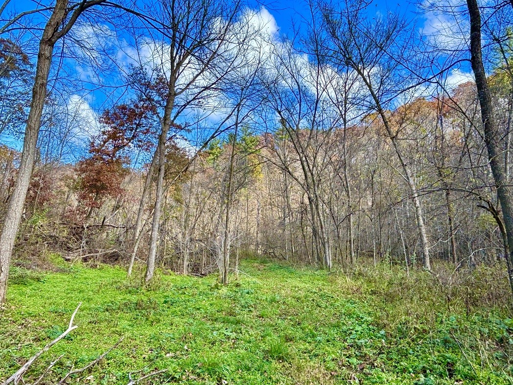 Land at 0 265th Avenue, Plum City, WI 54761 — photo 57