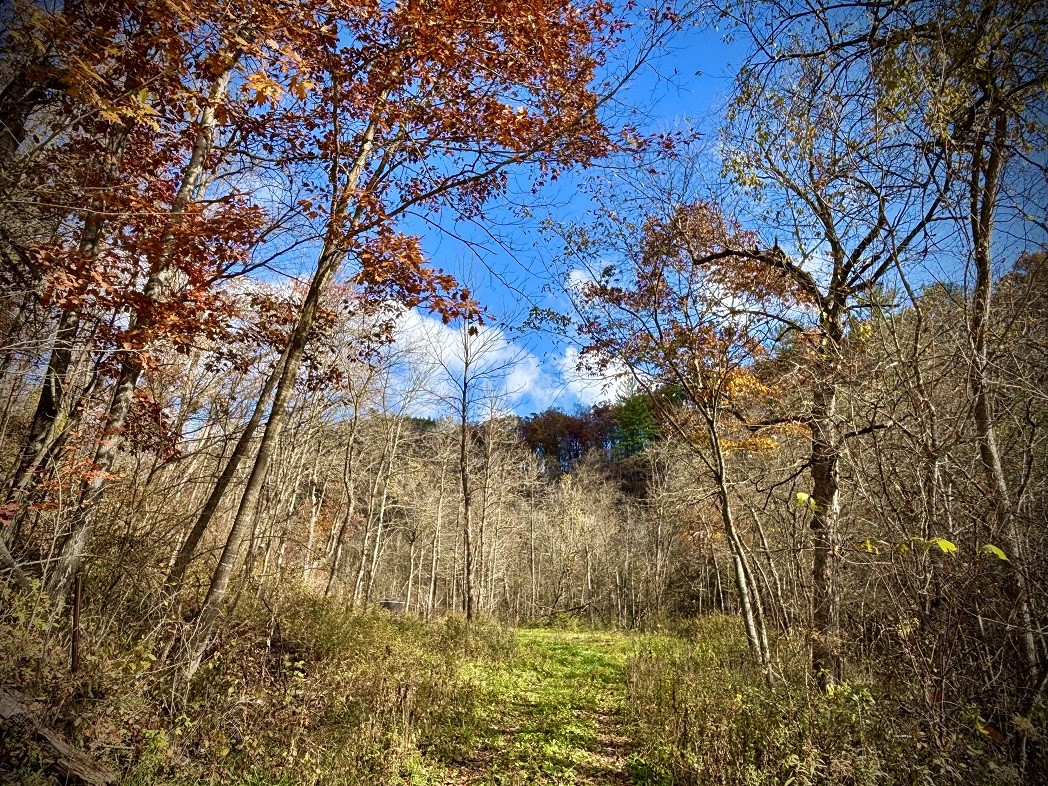 Land at 0 265th Avenue, Plum City, WI 54761 — photo 59
