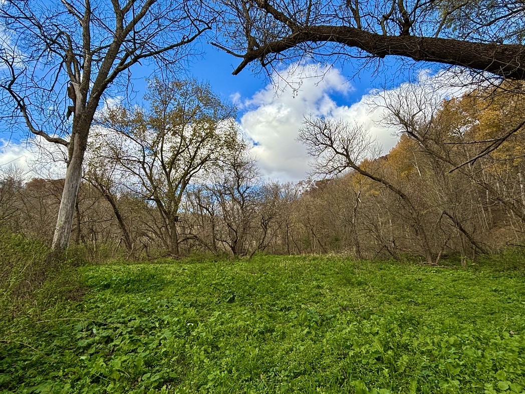 Land at 0 265th Avenue, Plum City, WI 54761 — photo 8