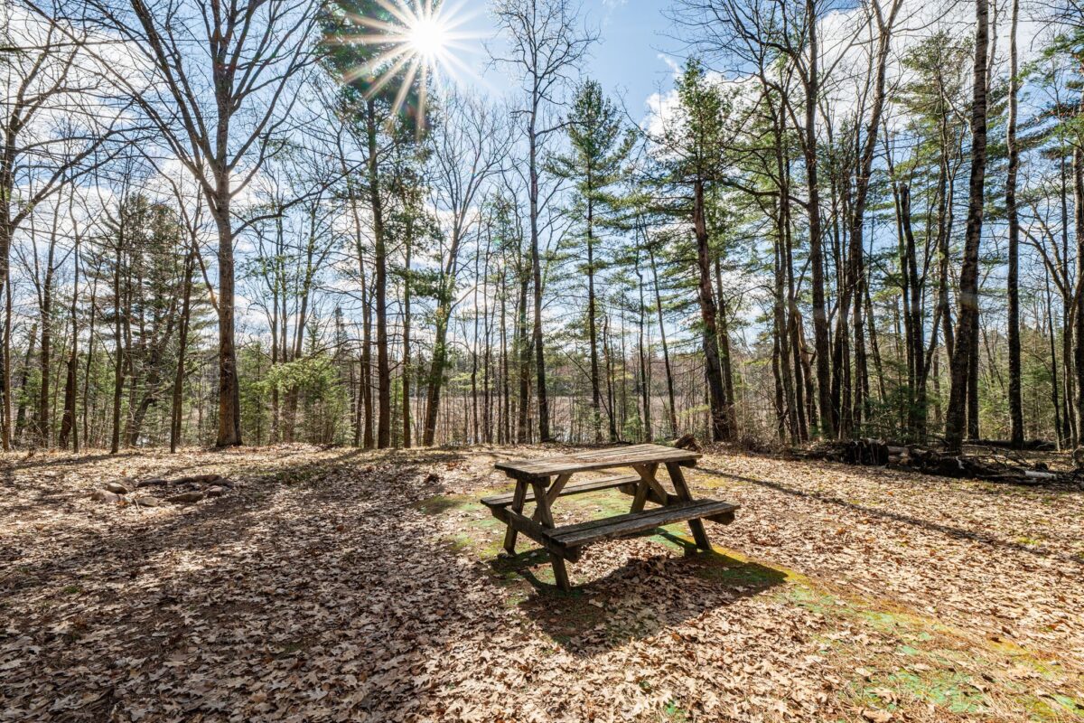 Residential at 0 Castaway Lane, Hayward, WI 54843 — photo 12