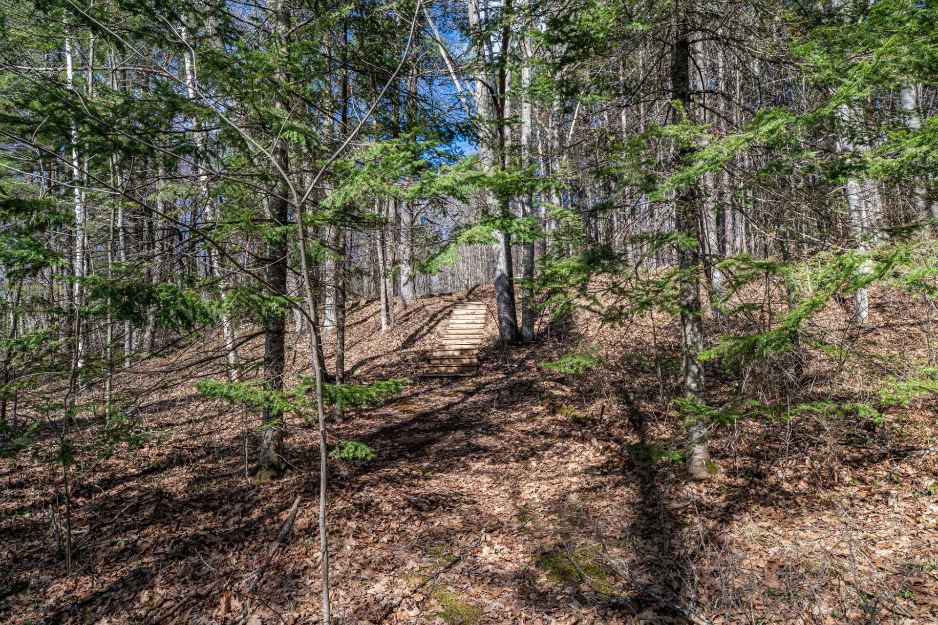 Residential at 0 Castaway Lane, Hayward, WI 54843 — photo 15