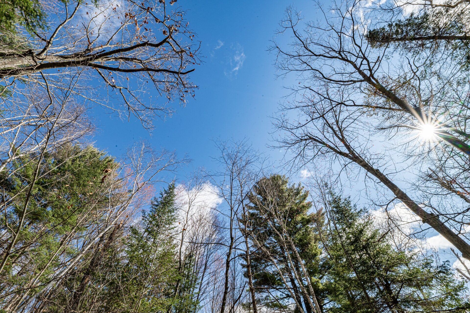 Residential at 0 Castaway Lane, Hayward, WI 54843 — photo 16