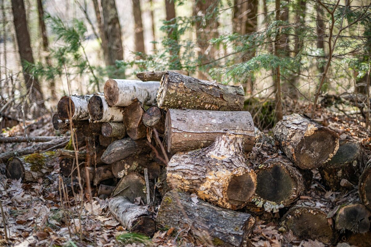 Residential at 0 Castaway Lane, Hayward, WI 54843 — photo 19