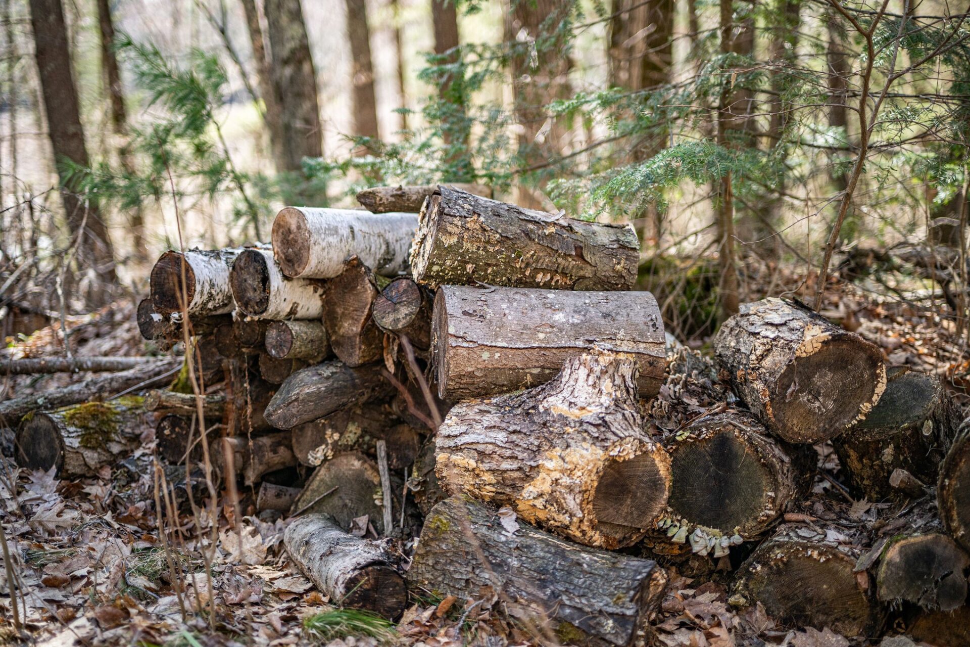 Residential at 0 Castaway Lane, Hayward, WI 54843 — photo 19