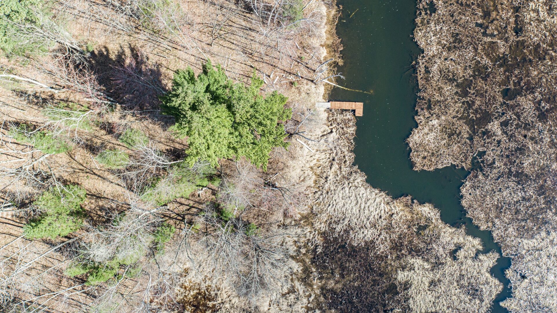 Residential at 0 Castaway Lane, Hayward, WI 54843 — photo 22