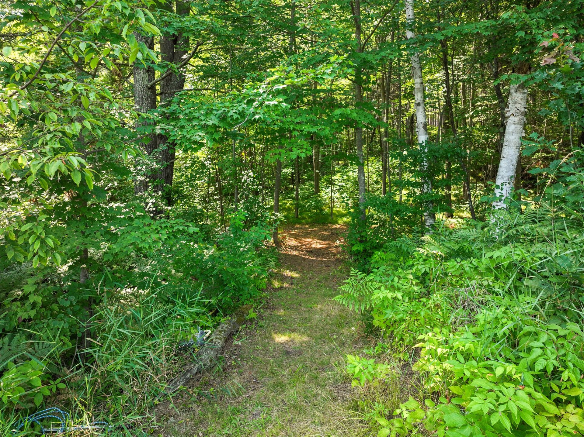 Residential at 0 Castaway Lane, Hayward, WI 54843 — photo 32