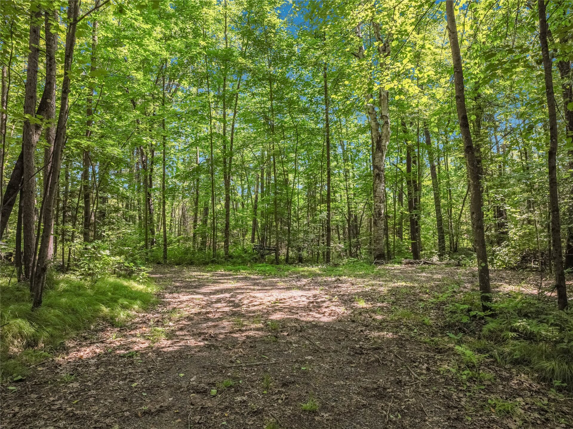 Residential at 0 Castaway Lane, Hayward, WI 54843 — photo 35