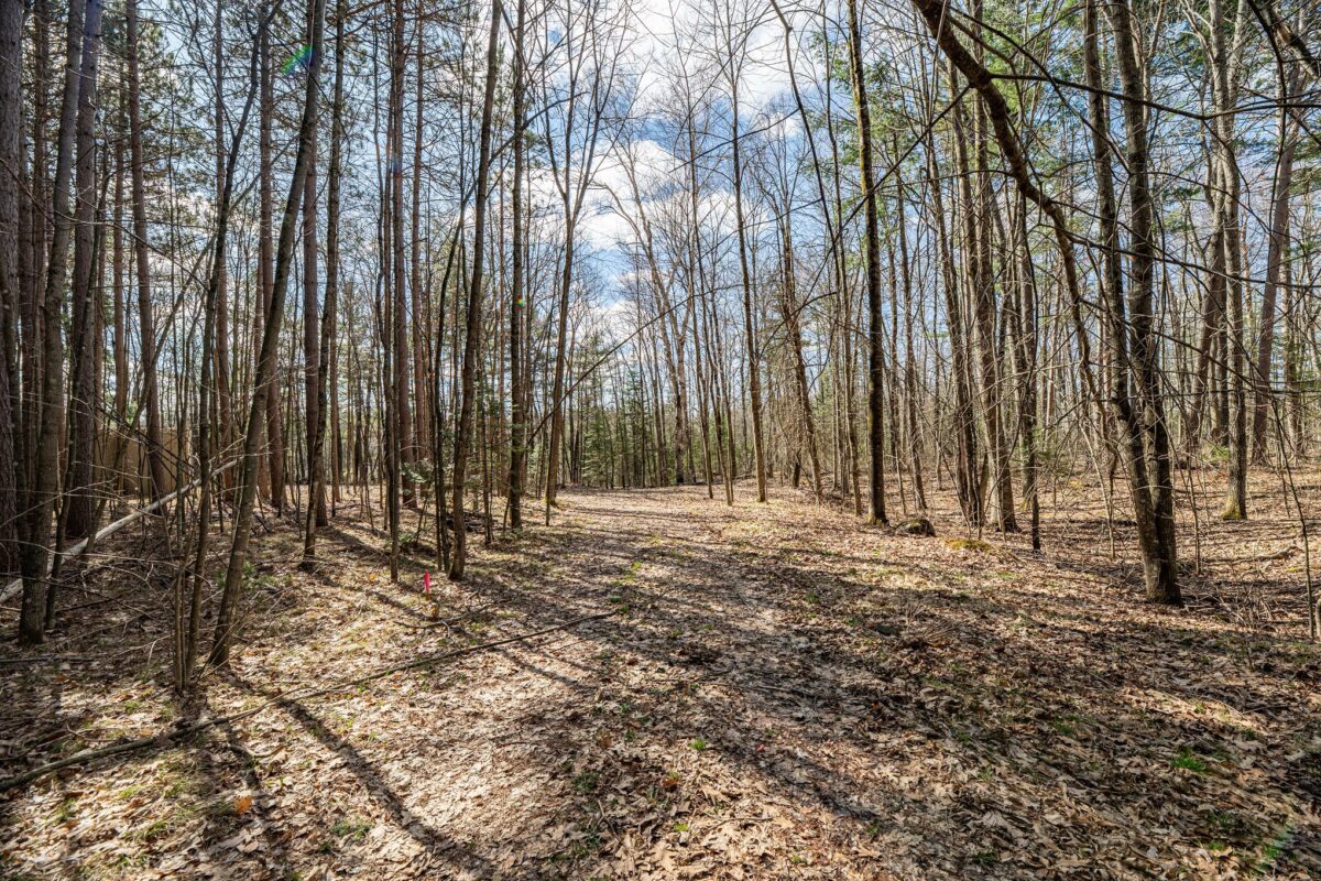 Residential at 0 Castaway Lane, Hayward, WI 54843 — photo 9