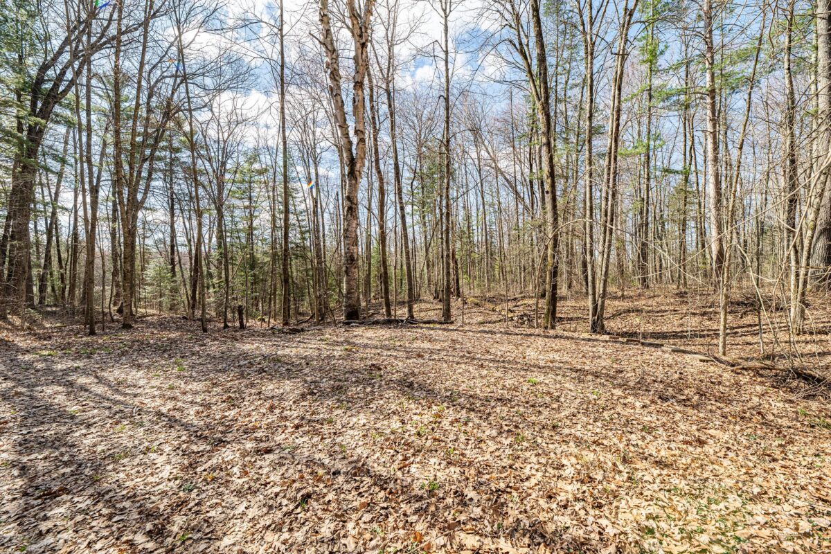 Residential at 0 Castaway Lane, Hayward, WI 54843 — photo 10