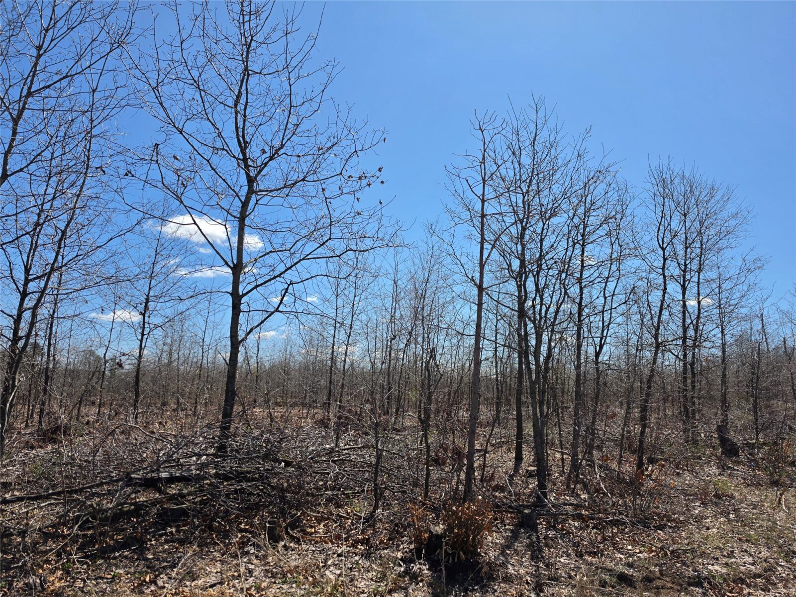 Residential at 0 County Highway E, Elk Mound, WI 54739 — photo 11