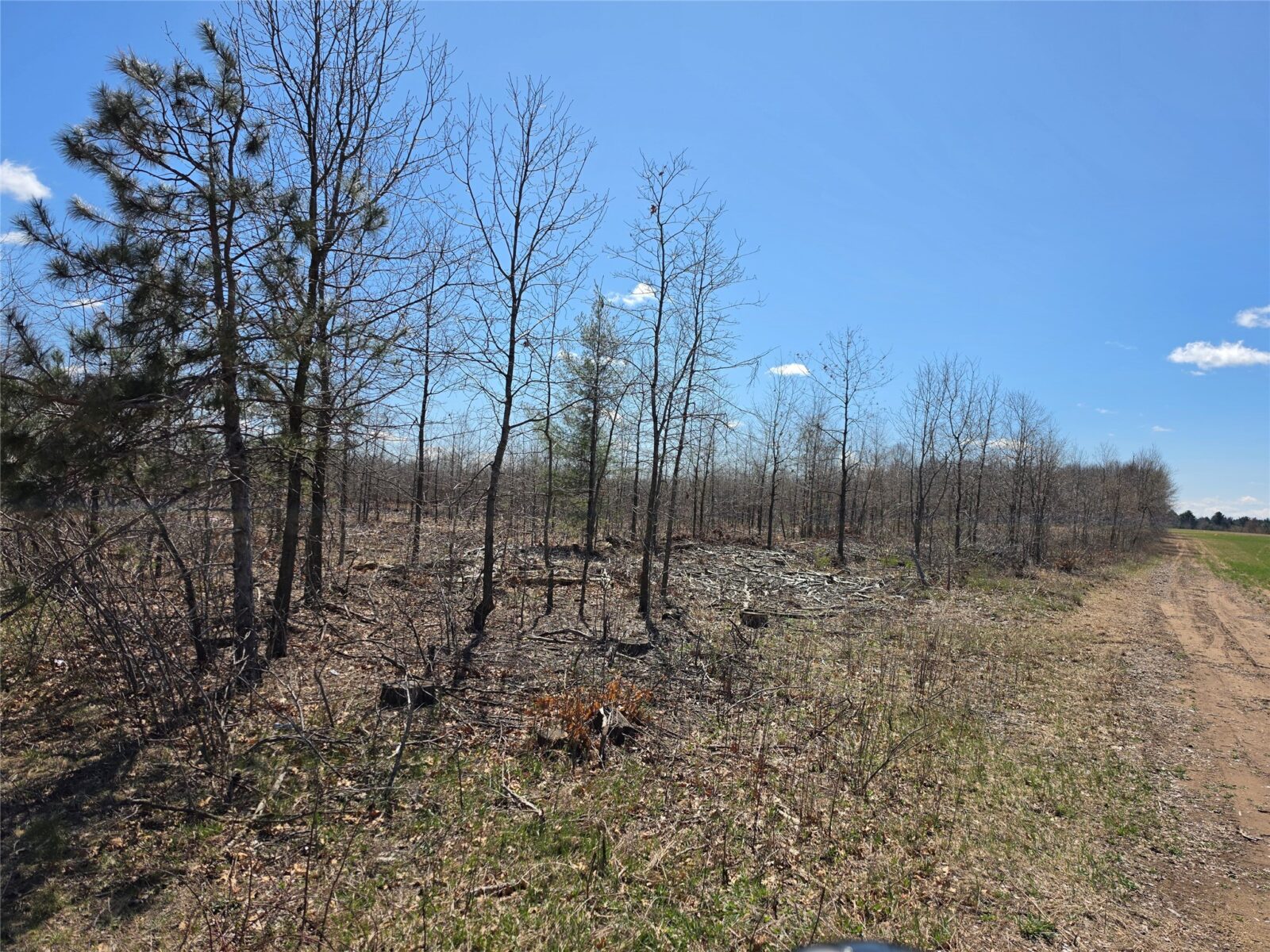 Residential at 0 County Highway E, Elk Mound, WI 54739 — photo 12