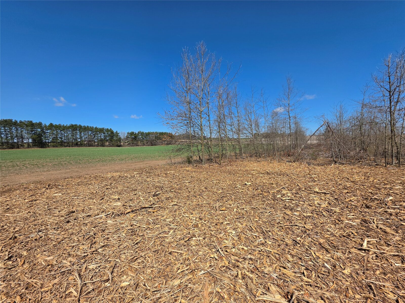 Residential at 0 County Highway E, Elk Mound, WI 54739 — photo 4