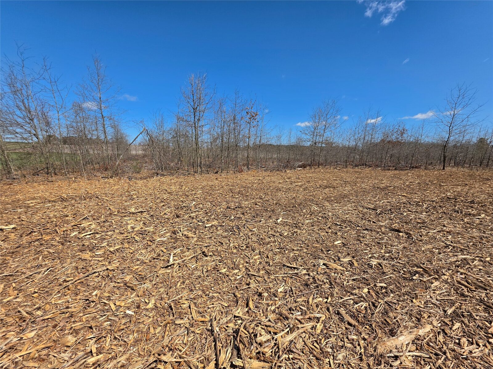 Residential at 0 County Highway E, Elk Mound, WI 54739 — photo 5