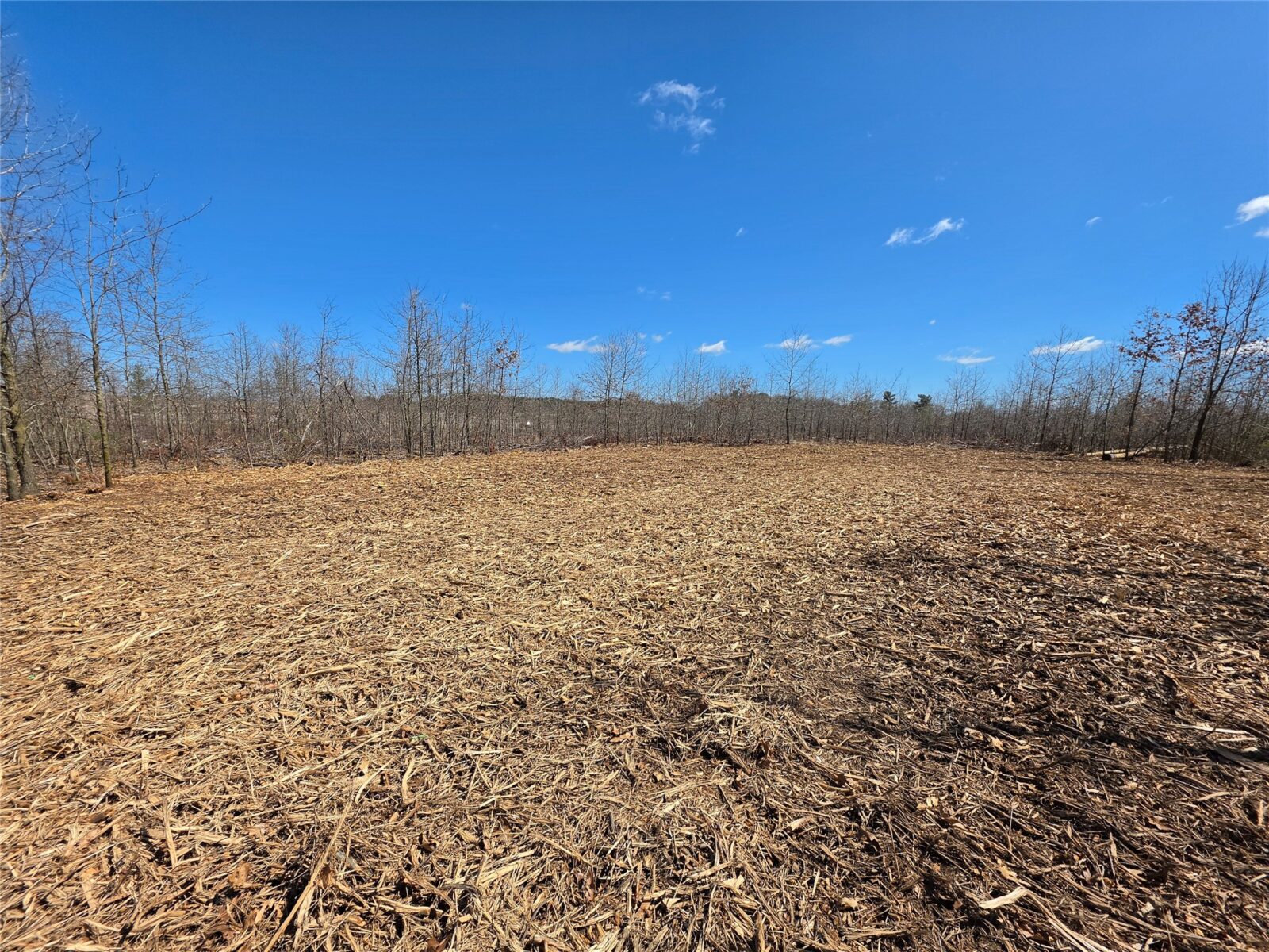 Residential at 0 County Highway E, Elk Mound, WI 54739 — photo 6