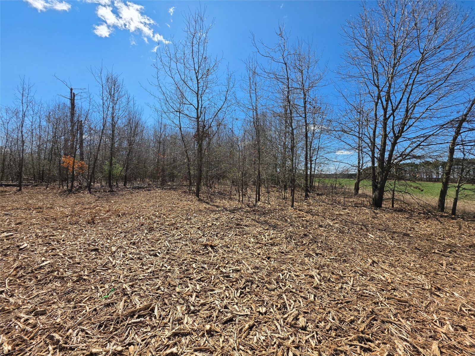 Residential at 0 County Highway E, Elk Mound, WI 54739 — photo 7