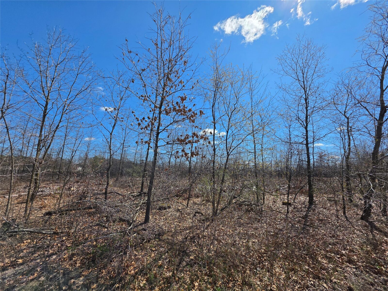 Residential at 0 County Highway E, Elk Mound, WI 54739 — photo 9