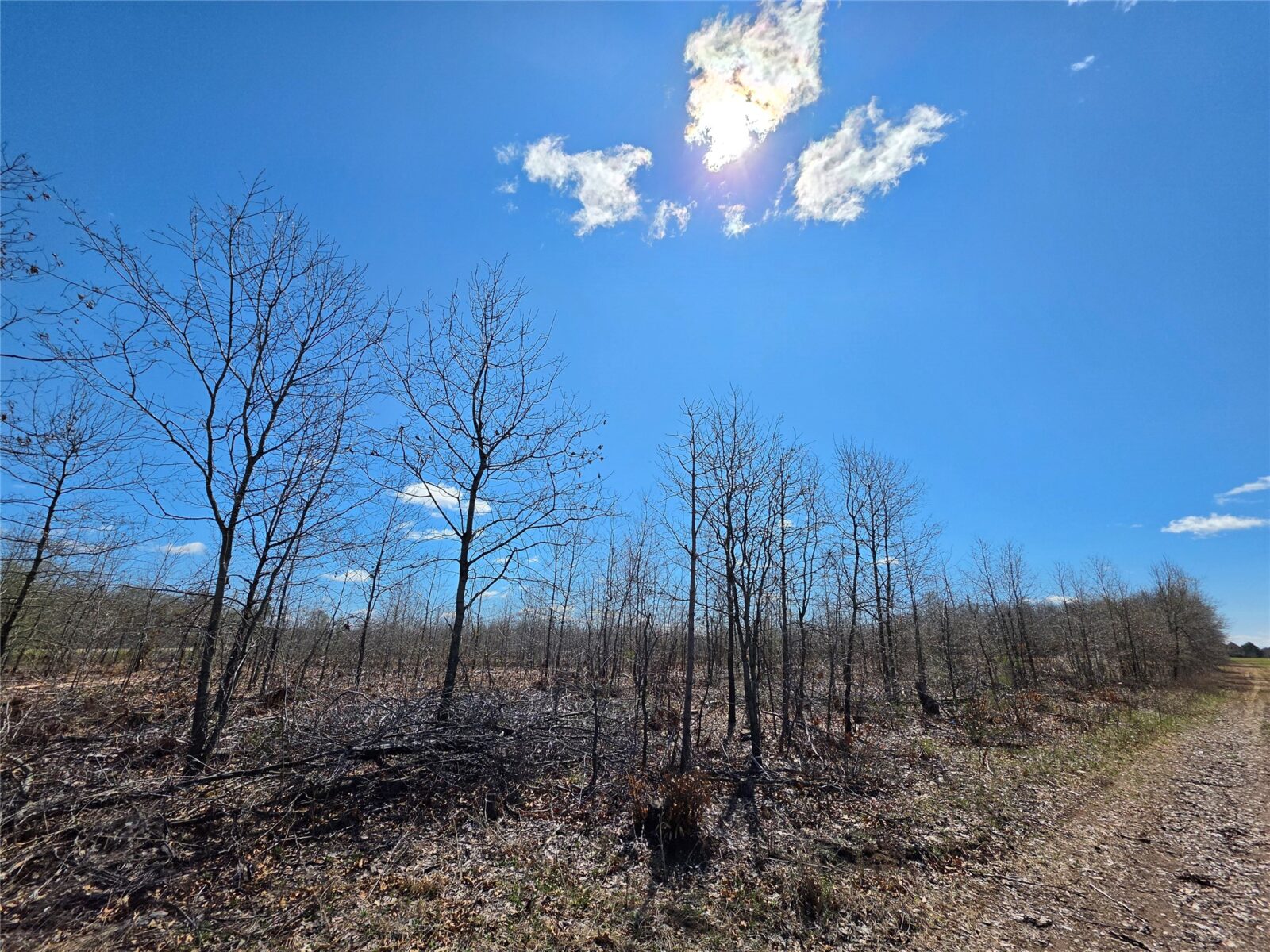 Residential at 0 County Highway E, Elk Mound, WI 54739 — photo 10