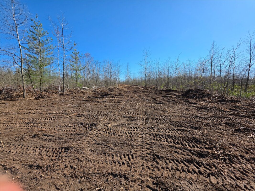 Residential at 0 County Highway E Lot 2, Elk Mound, WI 54739 — photo 4