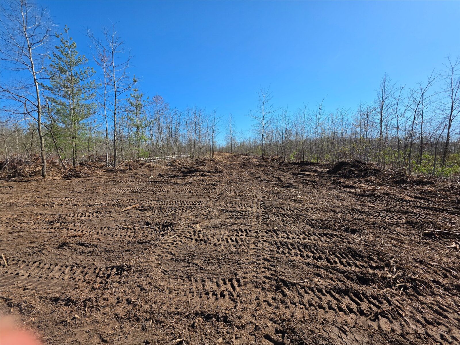 Residential at 0 County Highway E Lot 2, Elk Mound, WI 54739 — photo 4