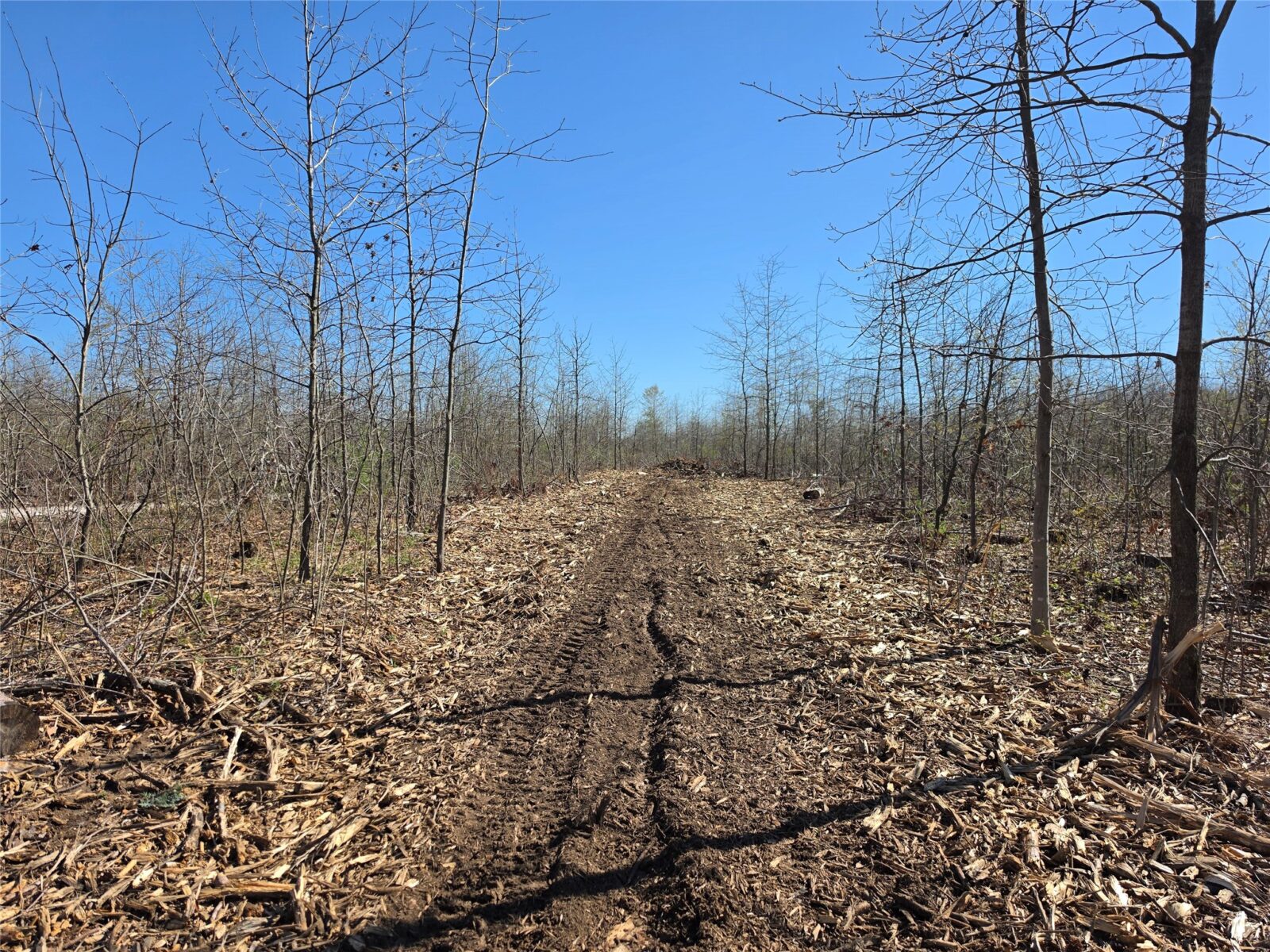 Residential at 0 County Highway E Lot 2, Elk Mound, WI 54739 — photo 5