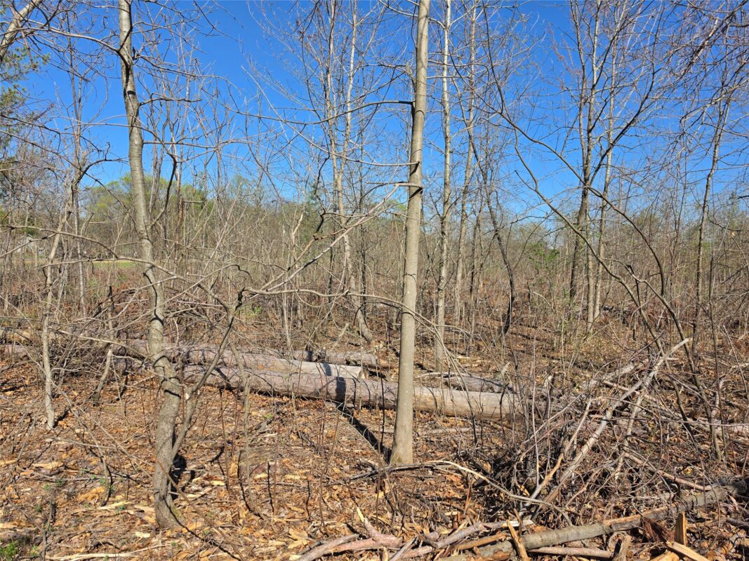 Residential at 0 County Highway E Lot 2, Elk Mound, WI 54739 — photo 6