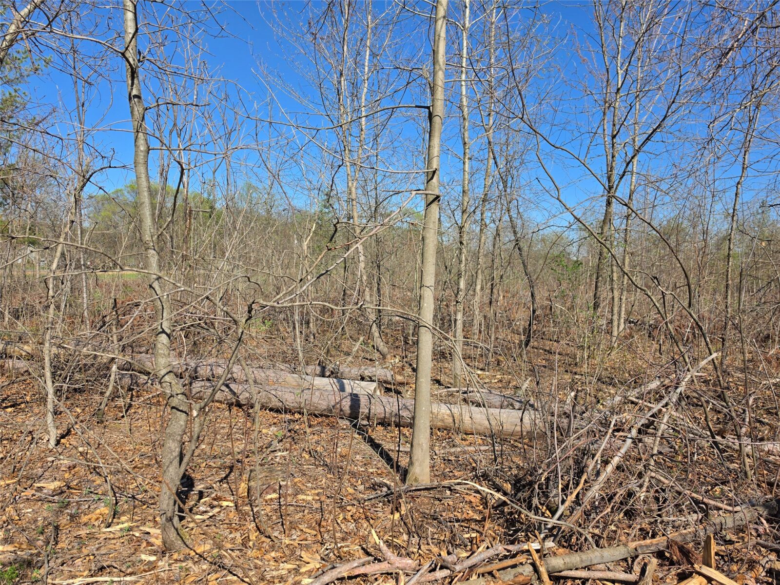 Residential at 0 County Highway E Lot 2, Elk Mound, WI 54739 — photo 6