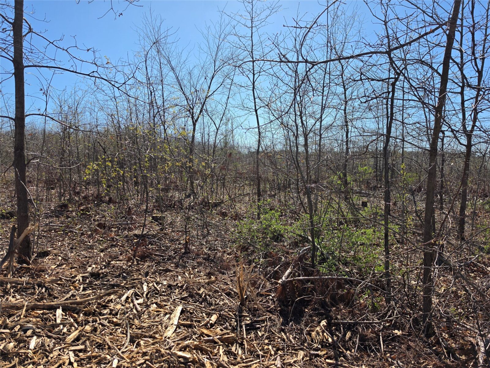 Residential at 0 County Highway E Lot 2, Elk Mound, WI 54739 — photo 7