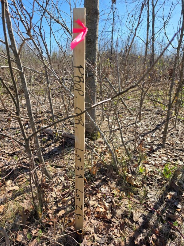 Residential at 0 County Highway E Lot 2, Elk Mound, WI 54739 — photo 8