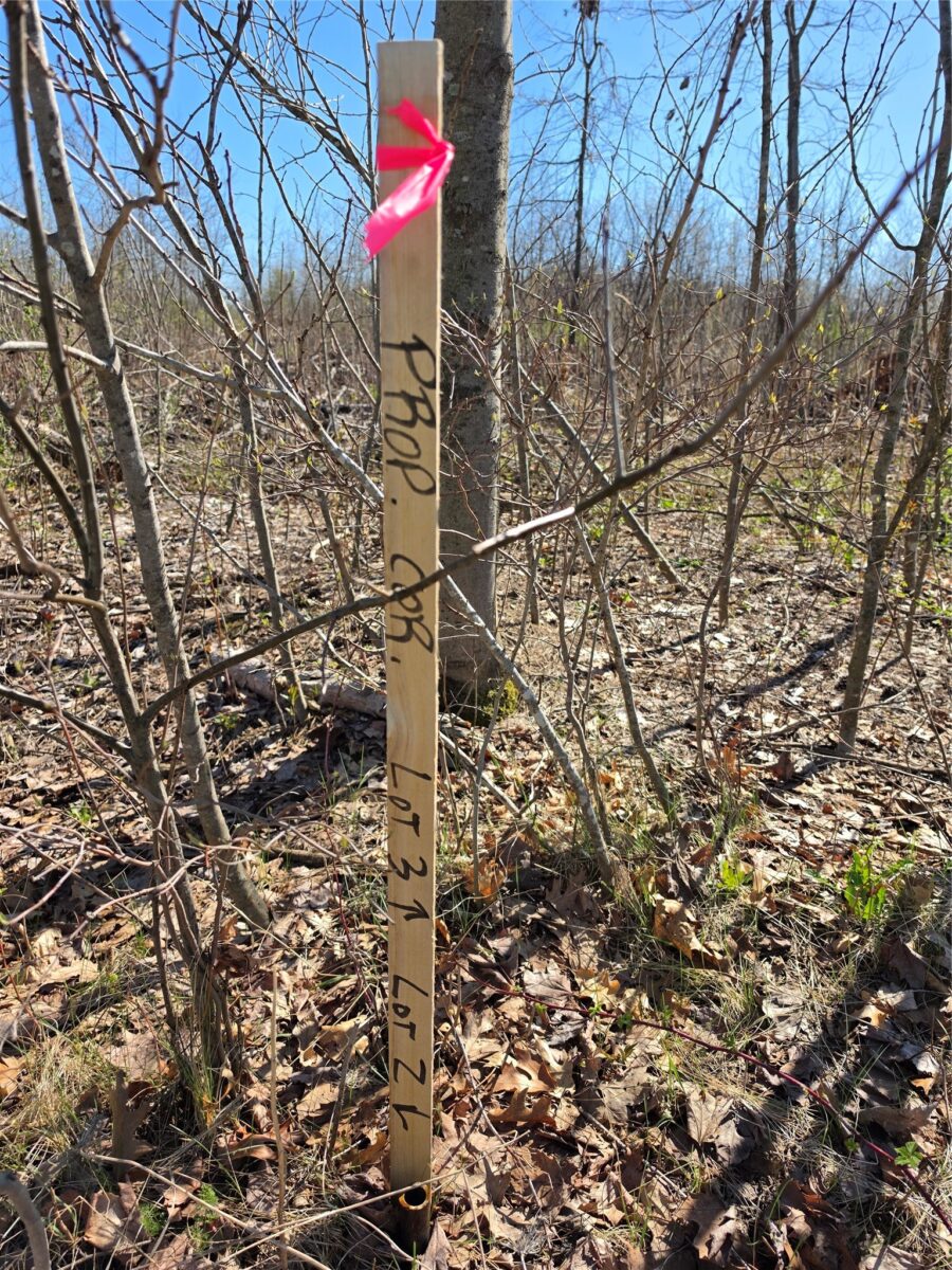 Residential at 0 County Highway E Lot 2, Elk Mound, WI 54739 — photo 8