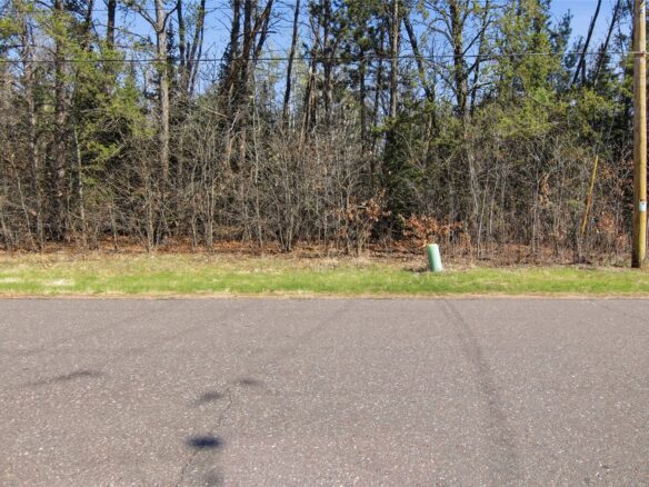 Land at 0 Lot 4 Pinewood, Chetek, WI 54728 — photo 1