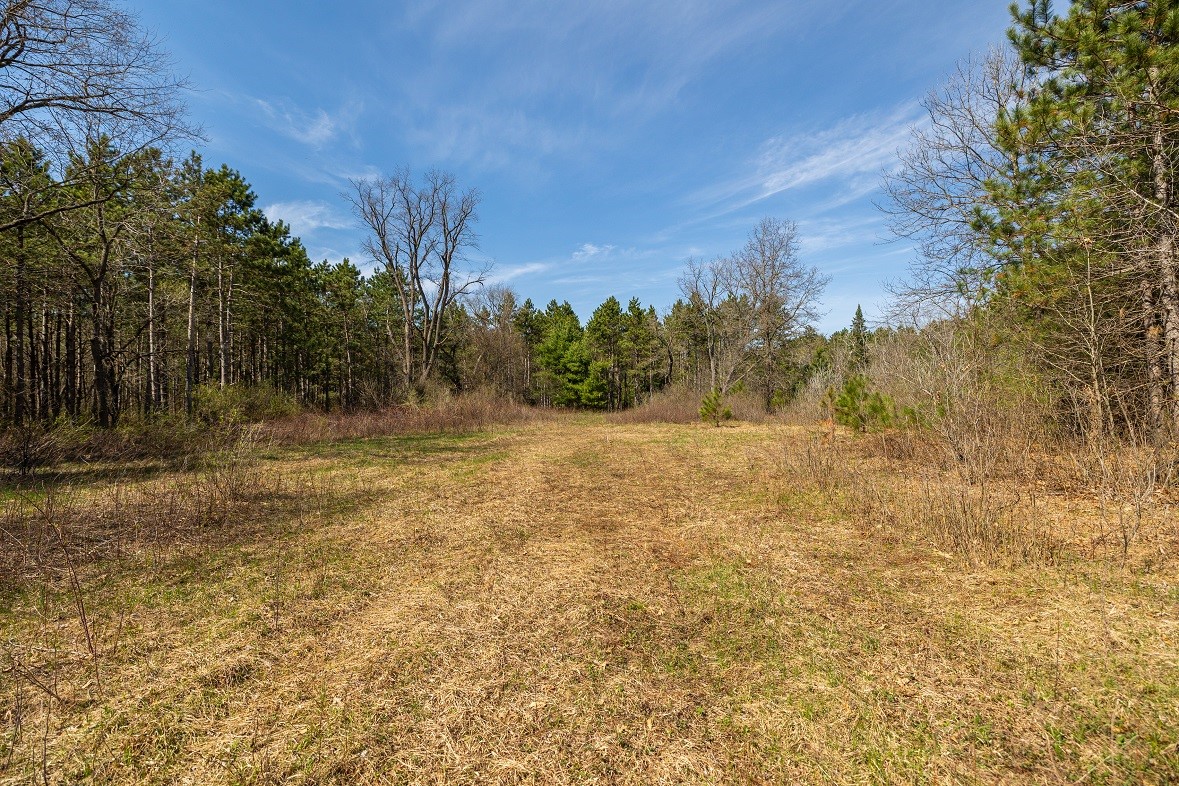 Land at 0 Prairie Road, Osseo, WI 54758 — photo 2
