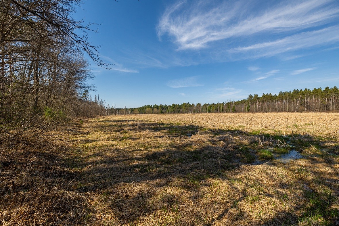 Land at 0 Prairie Road, Osseo, WI 54758 — photo 11