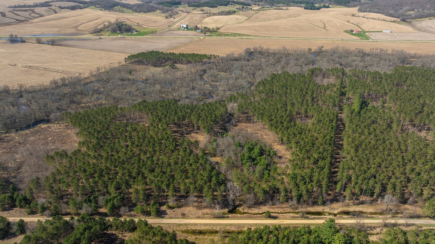 Land at 0 Prairie Road, Osseo, WI 54758 — photo 11