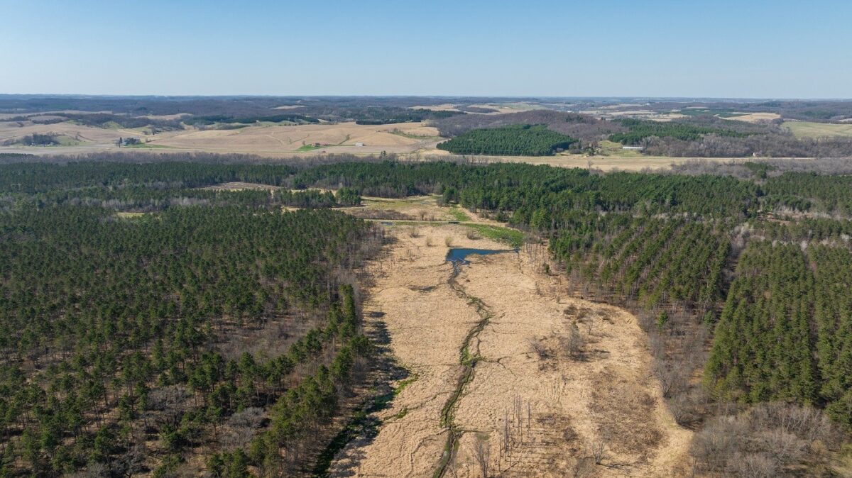 Land at 0 Prairie Road, Osseo, WI 54758 — photo 12