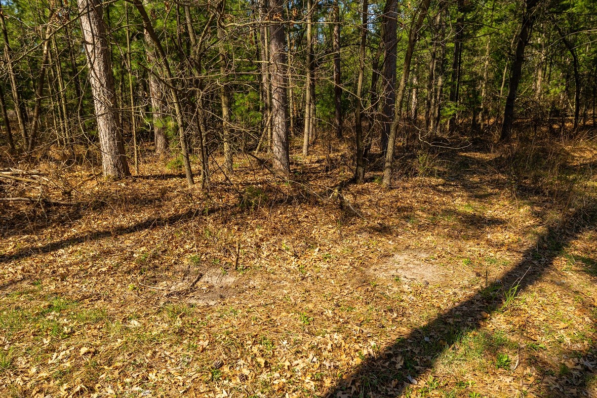 Land at 0 Prairie Road, Osseo, WI 54758 — photo 12