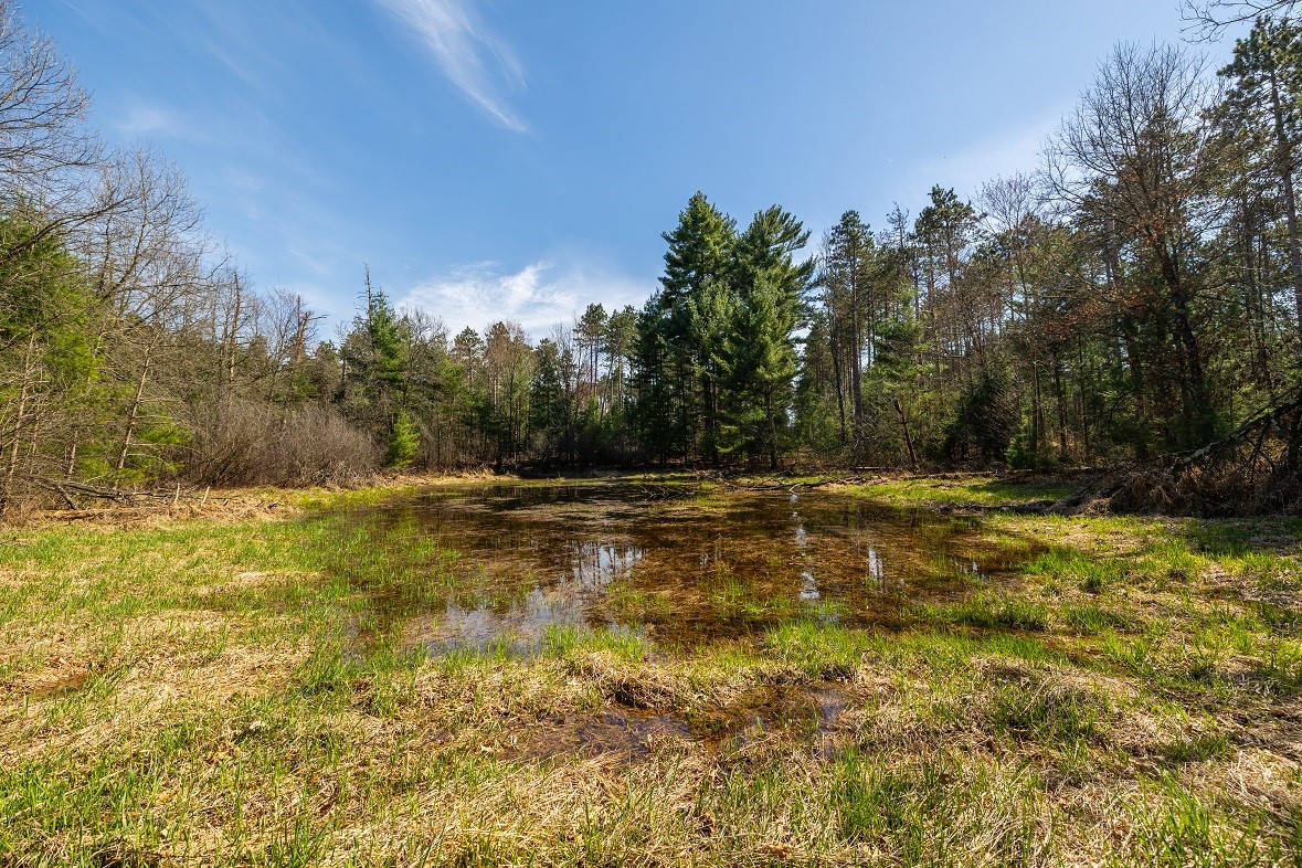 Land at 0 Prairie Road, Osseo, WI 54758 — photo 13