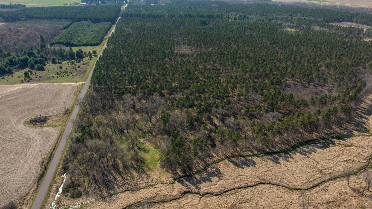 Land at 0 Prairie Road, Osseo, WI 54758 — photo 14