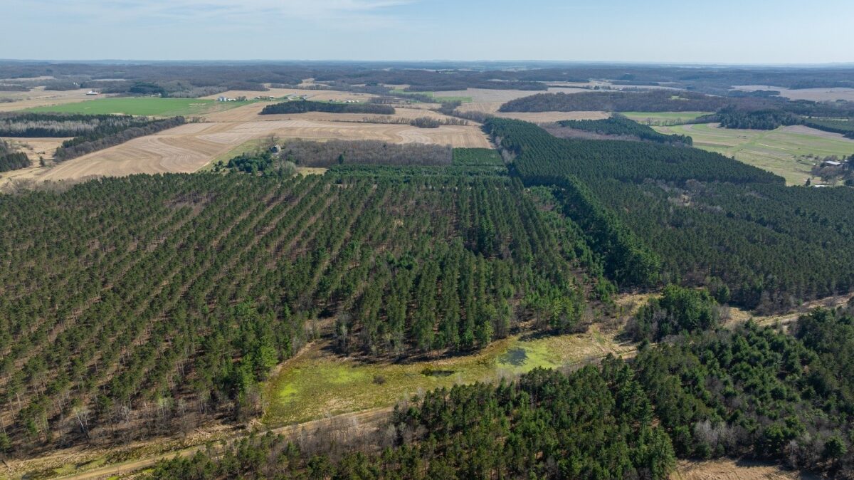 Land at 0 Prairie Road, Osseo, WI 54758 — photo 14