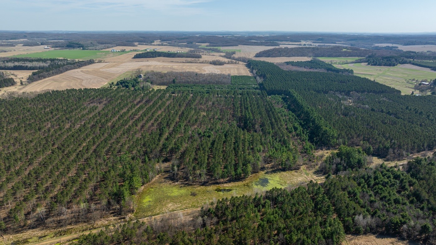 Land at 0 Prairie Road, Osseo, WI 54758 — photo 14