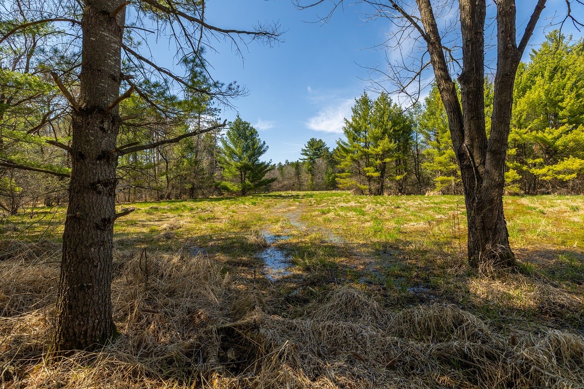 Land at 0 Prairie Road, Osseo, WI 54758 — photo 14