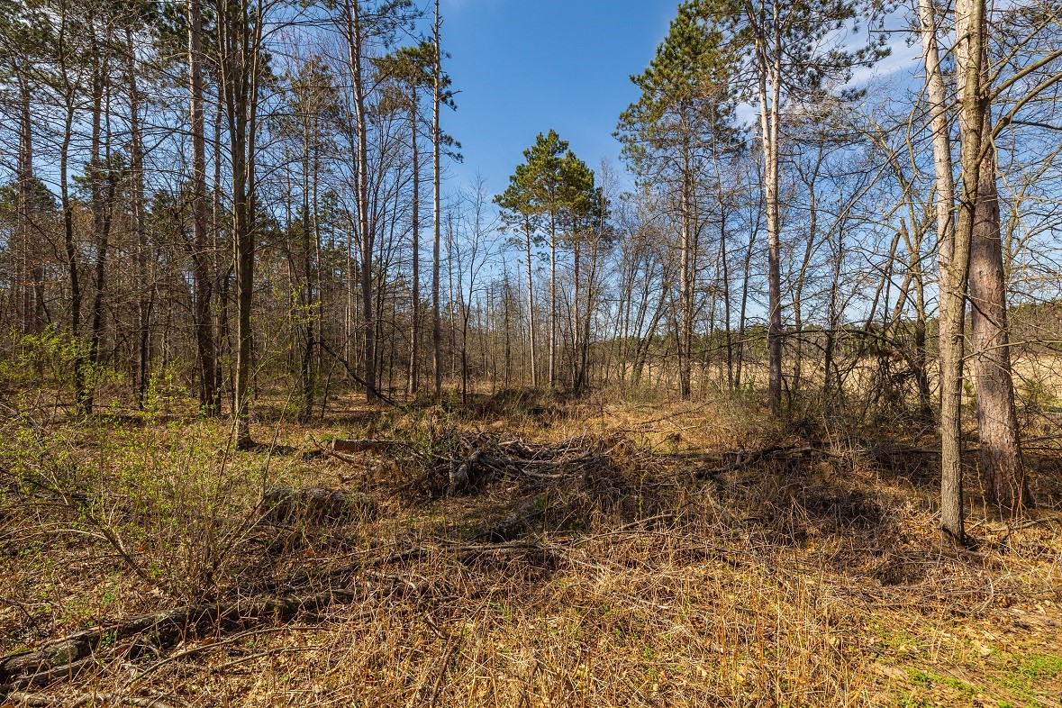 Land at 0 Prairie Road, Osseo, WI 54758 — photo 15